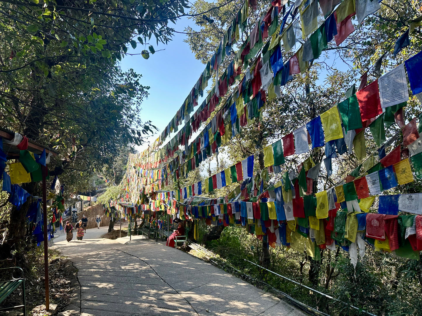 Hanging Prayer Flags in India (Winds of Fortune & Merit)