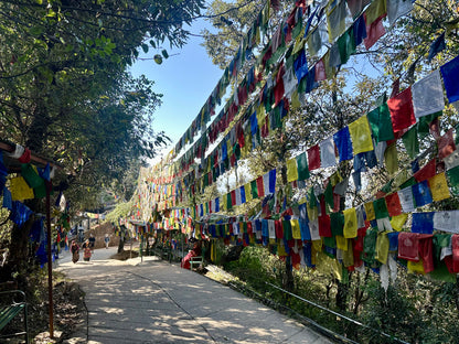 Hanging Prayer Flags in India (Winds of Fortune & Merit)